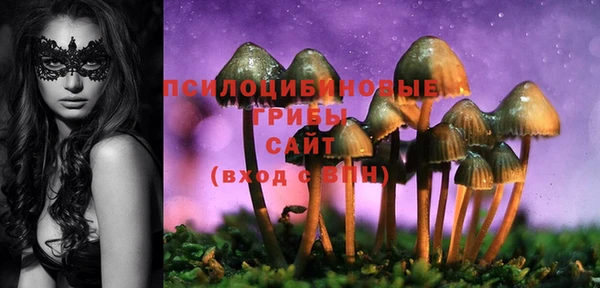ECSTASY Верея