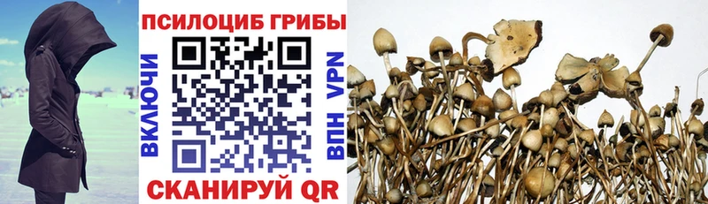 Галлюциногенные грибы MAGIC MUSHROOMS  Купить закладки  Канск 
